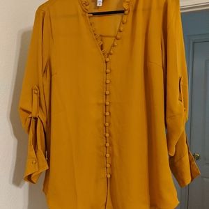 Express Button Down Blouse